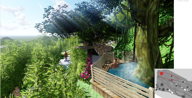 宜昌温泉度假区温泉设计方案：古树温泉池设计效果